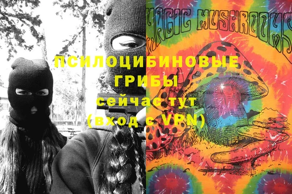 гидра Алексин