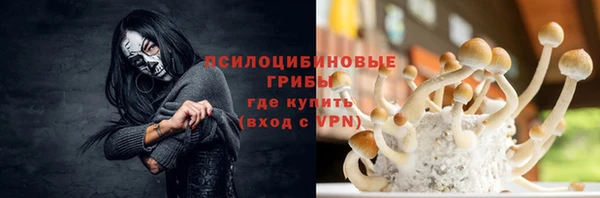 эйфоретик Алзамай