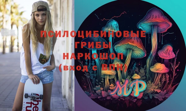 гидра Алексин