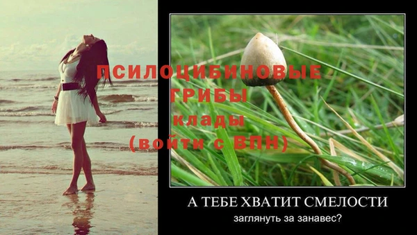 гидра Алексин