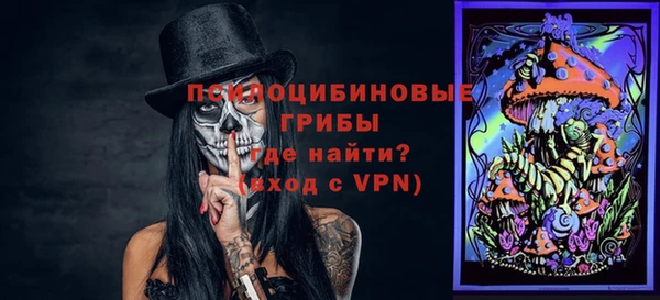эйфоретик Алзамай